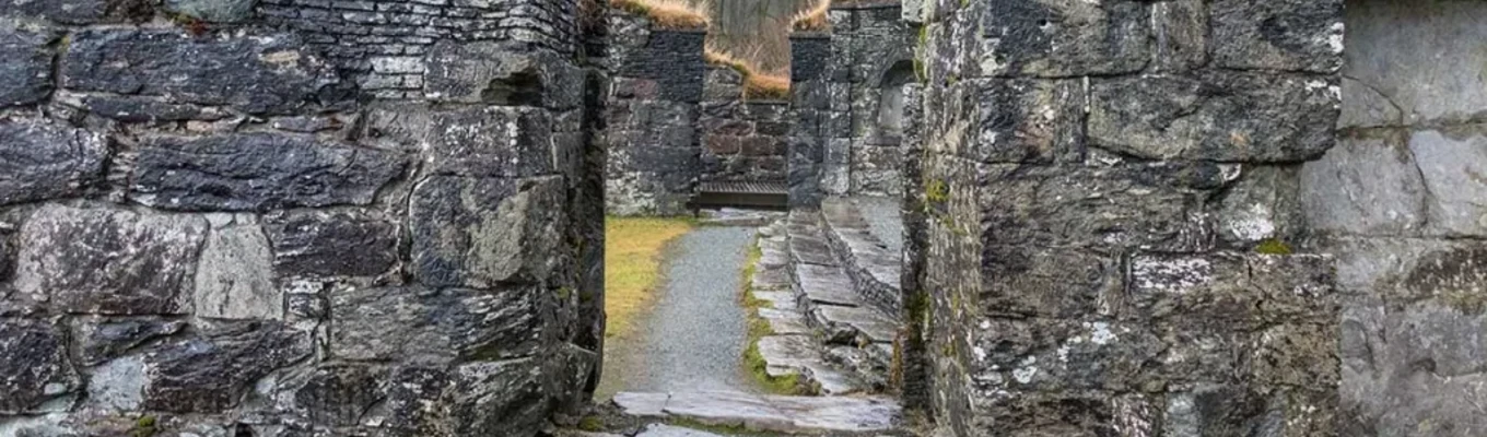 Skuggen over Gråryggen